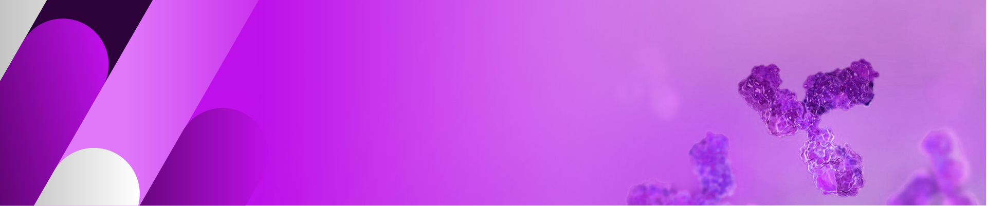 电泳仪电源