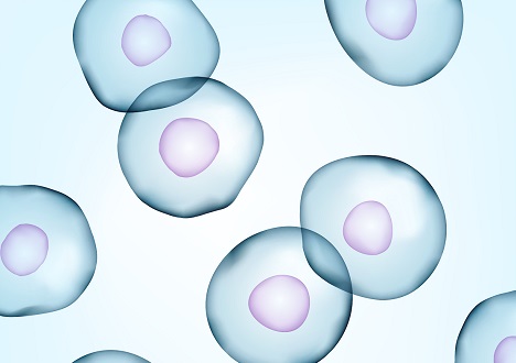CytoSinct™ 细胞分选磁珠