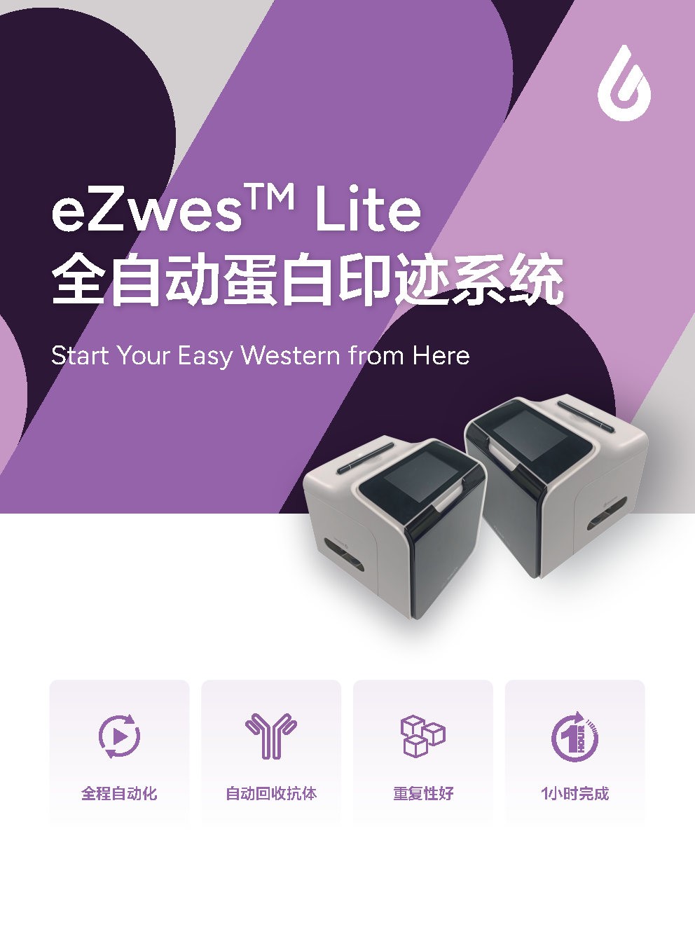 eZwest™全自动蛋白印迹系统