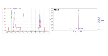 dsRNA Removal dsRNA Removal