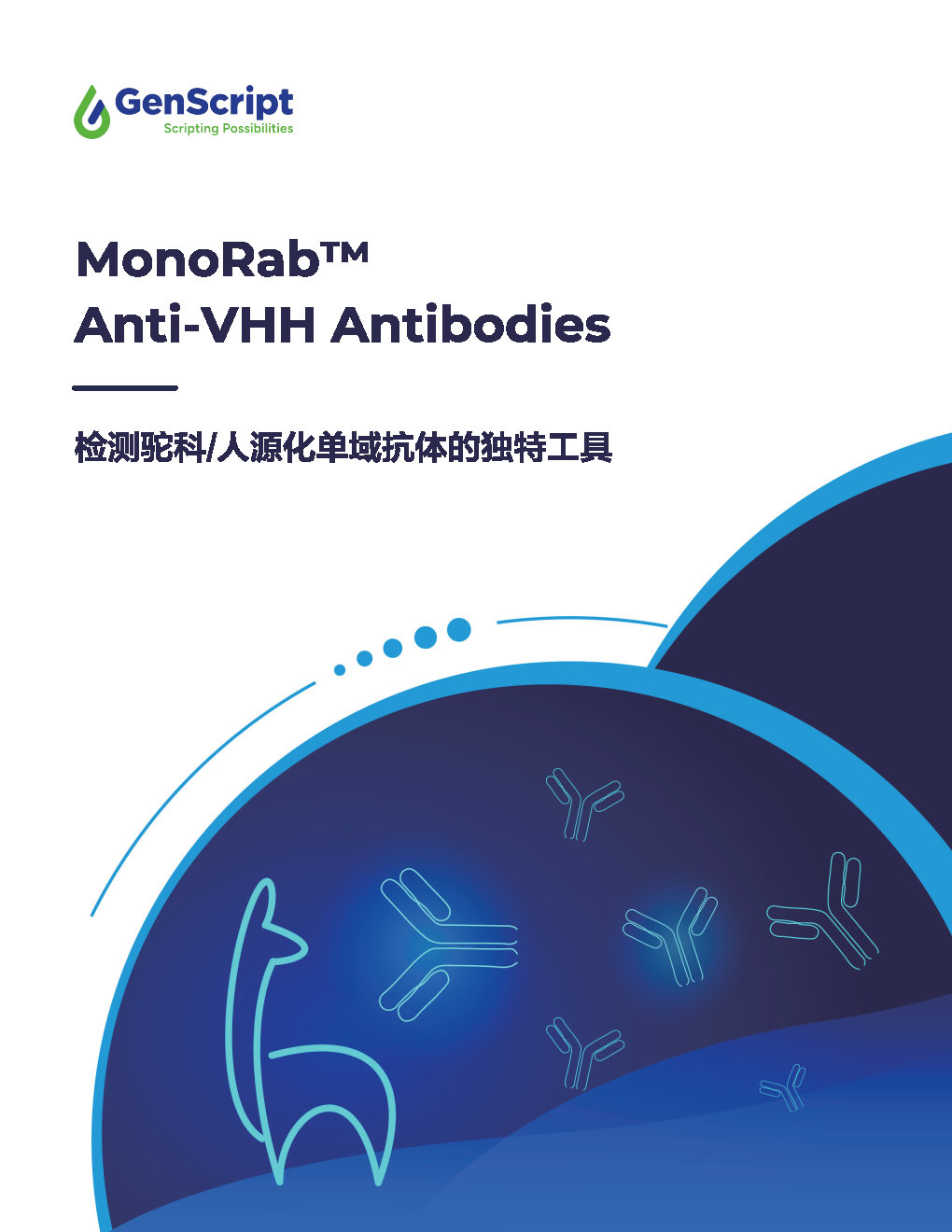 Anti-VHH抗体<br>检测驼科/人源化单域抗体的独特工具