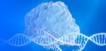 基因编辑技术革新：CRISPR与tBE多元化工具的开发与转化 - 星空体彩app官方