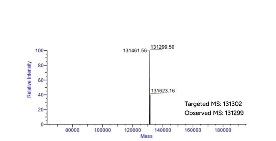 DE-Glycosylation Mass spectrometry  