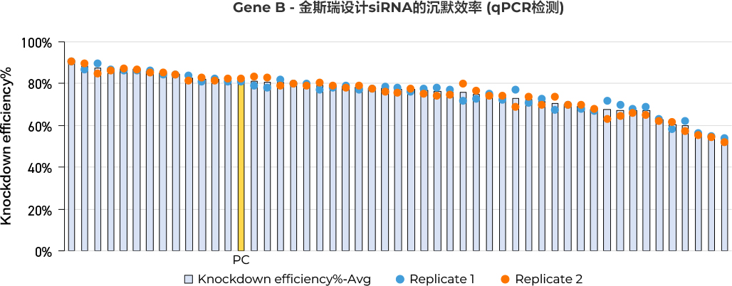 星空体彩app官方设计siRNA的沉默效率