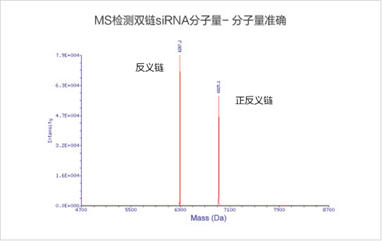 星空体彩app官方siRNA分子量精准