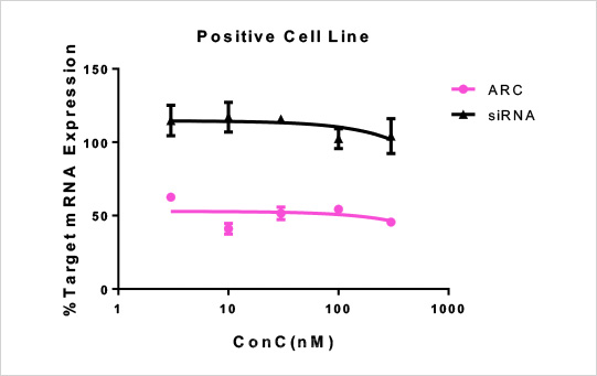 星空体彩app官方siRNA递送方案（Positive Cell）